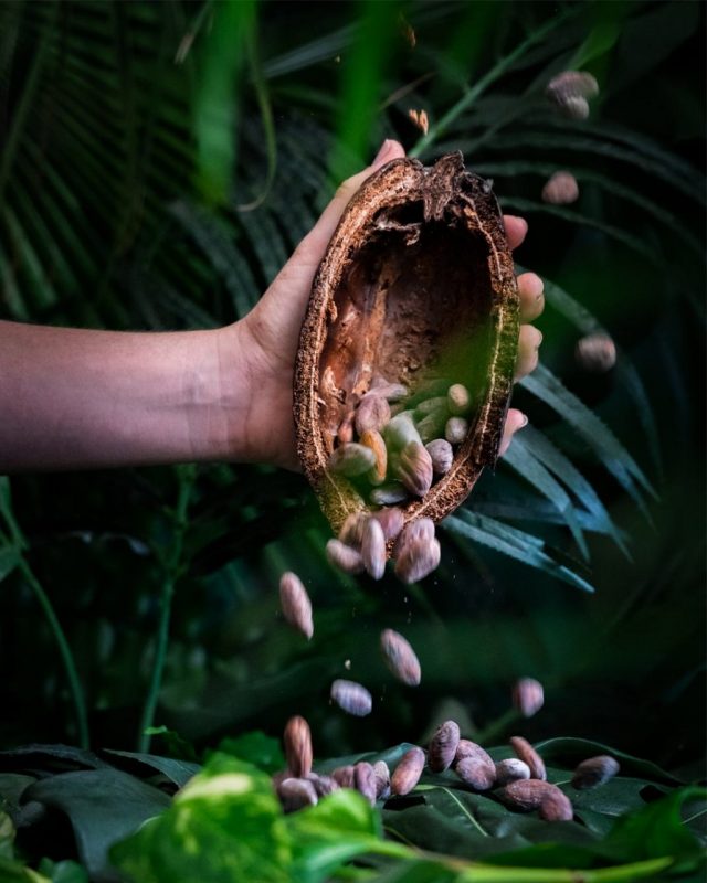 Anti aging, estilo de vida saludable, retrasa el envejecimiento, luce una piel joven.