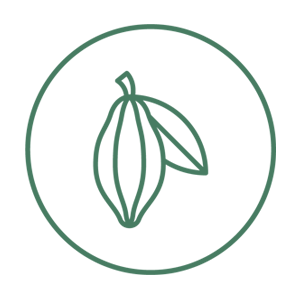 Cosmética con ingredientes tropicales, activos tropicales, frutas tropicales